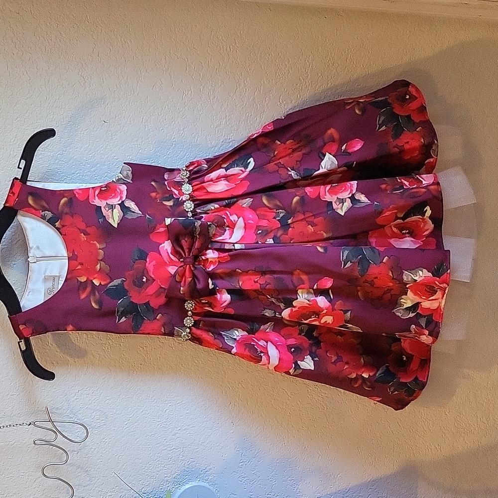 Young girls holiday dress